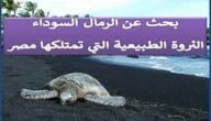 بحث عن الرمال السوداء في مصر pdf – خليجنا نت