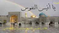 من هو انيس النفوس ؟ – خليجنا نت