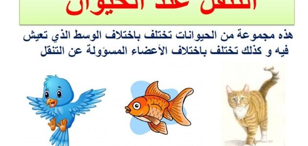 بحث حول التنقل عند الحيوان سنة أولى – خليجنا نت