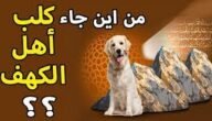 ما الحيوان الذي كان ينام مع اصحاب الكهف – خليجنا نت