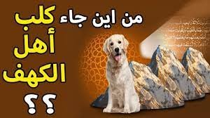 ما الحيوان الذي كان ينام مع اصحاب الكهف – خليجنا نت 1 ما الحيوان الذي كان ينام مع اصحاب الكهف – خليجنا نت