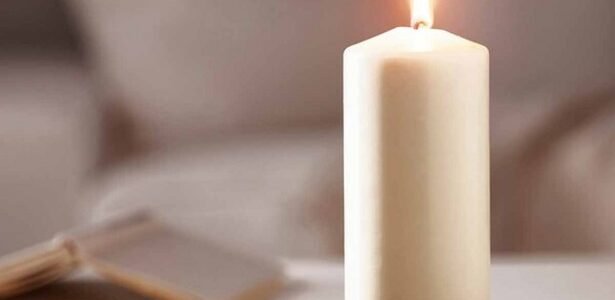 ما هي التي تحرق نفسها لتفيد غيرها