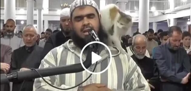 من هو الشيخ وليد مهساس ويكيبيديا