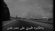من الشاعر القائل ياطائره طيري على بندر عدن , زاد الهوى زاد النوى زاد الشجن ؟