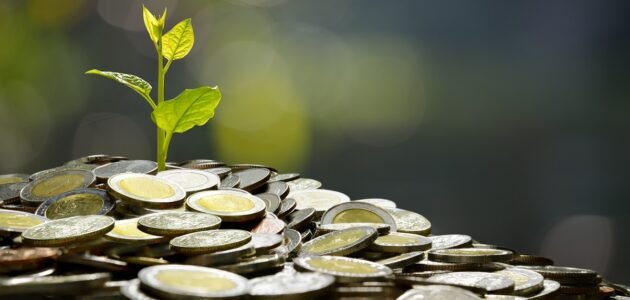 حكم زكاة المال المتحرك – موقع خليجنا