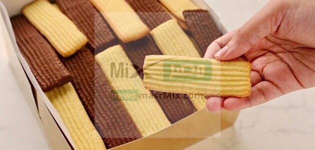 طريقة عمل بسكويت نشادر للعيد بطريقة سهلة وبسيطة وفي اسرع وقت
