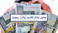 هل يتم تقديم رواتب رمضان قبل العيد أم تكون في موعدها؟ “المالية” تُجيب