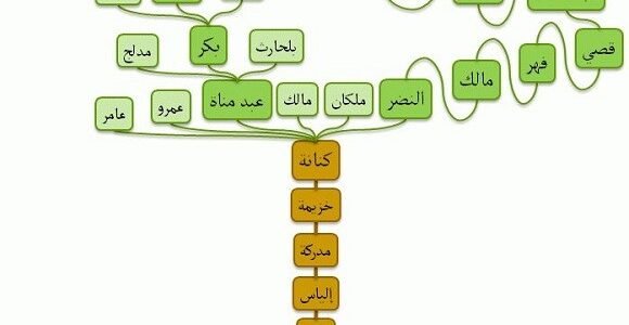 الكناني وش يرجع – موقع خليجنا