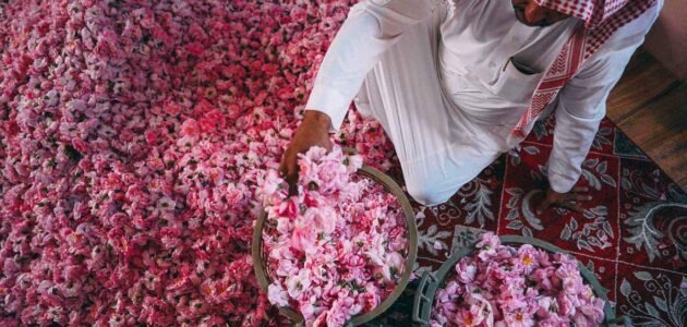 اوقات دوام مهرجان الورد الطائفي 2023 متى يفتح متى يغلق 1 اوقات دوام مهرجان الورد الطائفي 2023 متى يفتح متى يغلق