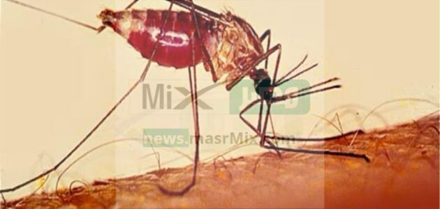 “اليوم العالمي للملاريا” الهيئة العامة للغذاء والدواء توضح بعض النصائح للوقايه منه