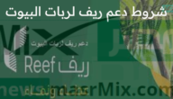 ما هي تفاصيل شروط دعم ريف لربات البيوت وطريقة التسجيل؟