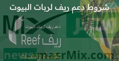 ما هي تفاصيل شروط دعم ريف لربات البيوت وطريقة التسجيل؟