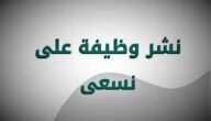 رابط التسجيل على منصة We Seek Employment للباحثين عن عمل ns3a.com