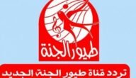 طريقة اضافة تردد قناة طيور الجنة التحديث الجديد نايل سات 2023