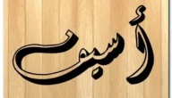 معنى كلمه اسيف – موقع خليجنا