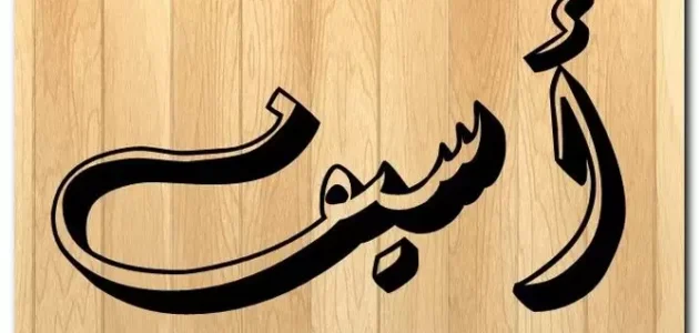 معنى كلمه اسيف – موقع خليجنا