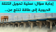 عملية تحويل الكتلة الحيوية إلى طاقة تنتج عن