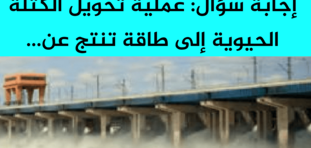 عملية تحويل الكتلة الحيوية إلى طاقة تنتج عن