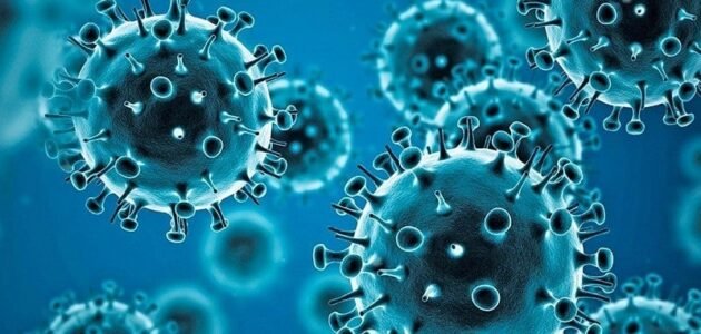 قدم مسرحيه مع زملائك تبين كيفيه الوقايه من الامراض الفيروس