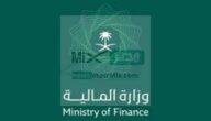 كيف استعلام عن أمر دفع إلكتروني وزارة المالية توضح؟