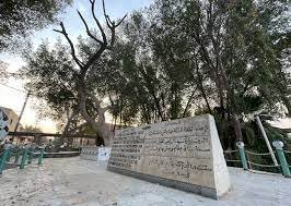 ما هي اقدم واهم شجره في تاريخ العراق الزراعي القديم – خليجنا نت