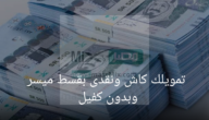 تمويل شخصي كاش وسريع بدون كفيل ولا تحويل الراتب تعرف على شروط التمويل