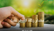 كم مقدار زكاة الفطر نقدا في السعودية لكل فرد 1444؟ وأفضل وقت لإخراجها