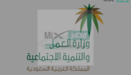 ما هي رسوم نقل كفالة عمالة منزلية بالمملكة العربية السعودية عبر منصة أبشر للأفراد؟