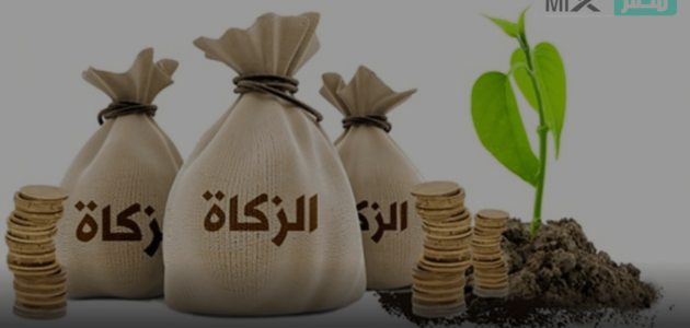 ما حكم تعمد تأخير الزكاة بدون عذر؟ والموعد الأفضل لإخراجها