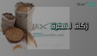 ما هي احكام زكاة الفطر؟.. وهي طعام أم نقود وهل يجوز تأجيلها؟