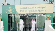 خبر سار من المؤسسة العامة بدء نزول رواتب المتقاعدين في حساباتهم البنكية من منتصف الليل وإدراج زيادة لهذه الفئات