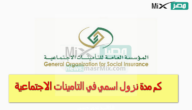 كم مدة نزول اسمي في التامينات الاجتماعية؟ المؤسسة العامة للتأمينات توضح للمواطنين