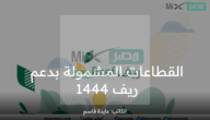 ماهي القطاعات المشمولة بدعم ريف؟ وزارة البيئة والمياه والزراعة تجيب