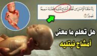 ما معنى امشاج نبتليه – خليجنا نت