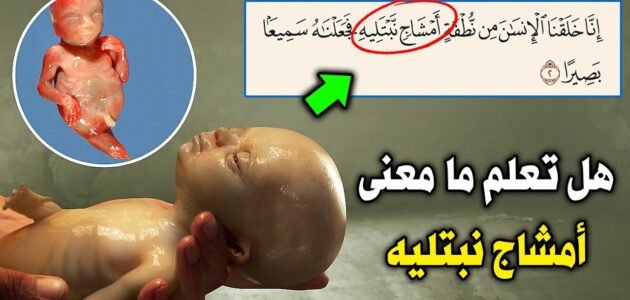 ما معنى امشاج نبتليه – خليجنا نت