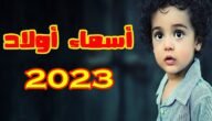 اسماء اولاد بحرف النون مختلفة ومميزة 2023 مع معانيها