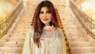 كم أجر ريم النجم في مسلسل أمينة حاف 2