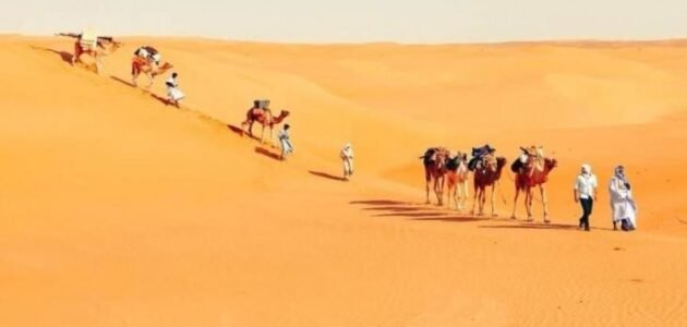 ما أصل قبيلة الناشري ، عائلة الناشري من وين