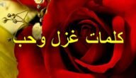 كيف اتغزل بحبيبي بالكلام أجمل عبارات الغزل للحبيب