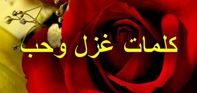 كيف اتغزل بحبيبي بالكلام أجمل عبارات الغزل للحبيب 1 كيف اتغزل بحبيبي بالكلام أجمل عبارات الغزل للحبيب