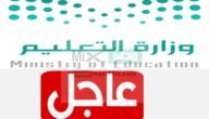 عاجل من وزارة التعليم.. صرف المكافآت وبدل الإعاقة اليوم الأربعاء 28 رمضان 1444 لهذه الفئة من الطلاب