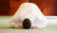 صلاة التهجد في رمضان كم ركعة وكيفية أدائها