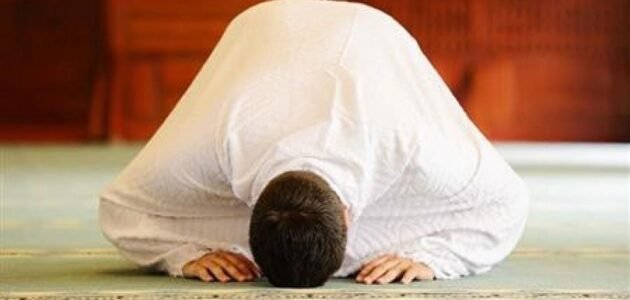 صلاة التهجد في رمضان كم ركعة وكيفية أدائها