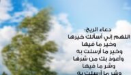دعاء الريح اللهم اجعلها رياحا مكتوب