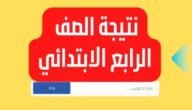 “ظهرت حالا” نتيجة الصف الرابع الابتدائي 2023 بالاسم فقط