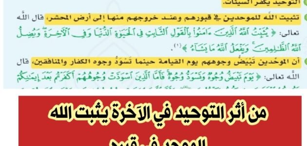 وصف الله تعالى حال الناس بغير التوحيد