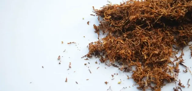 هل النشوق من المخدرات وهل تظهر في الدم ام لا