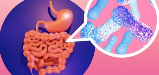 اماكن وجود البكتيريا النافعه في جسم الانسان واهميتها