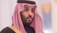 متى تولى الأمير محمد بن سلمان ولاية العهد – خليجنا