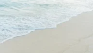 تسبب جاذبية القمر والارض حدوث المد والجزر